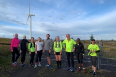 Striders sure do love a windfarm!!- Summer 2021