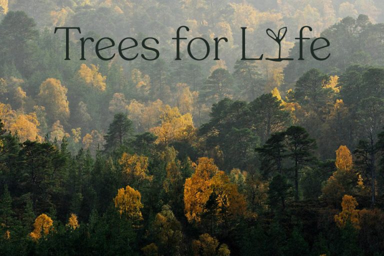 Trees for Life Strathaven Striders Grove